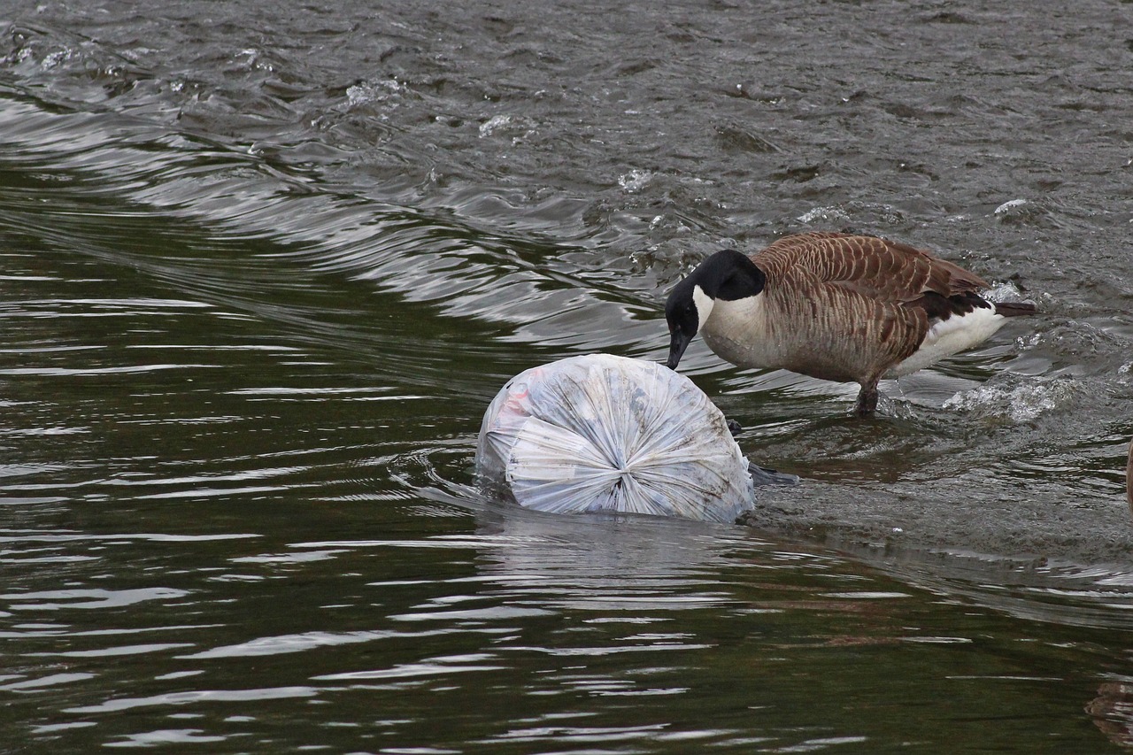 The Growing Concern Over Water Pollution